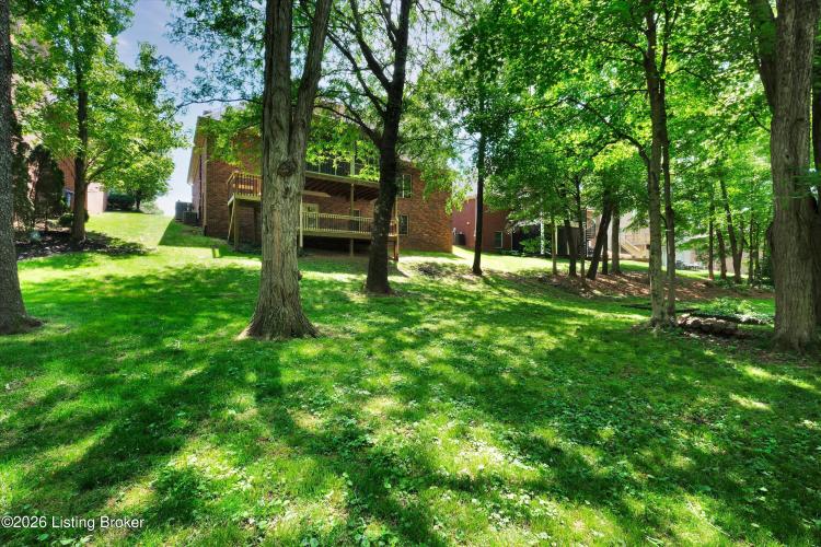 Listing Image 70