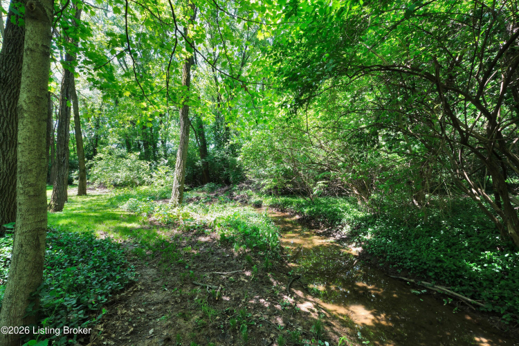 Listing Image 71