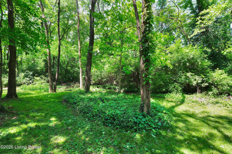 Listing Image 72
