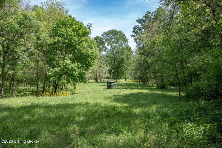 Listing Image 41