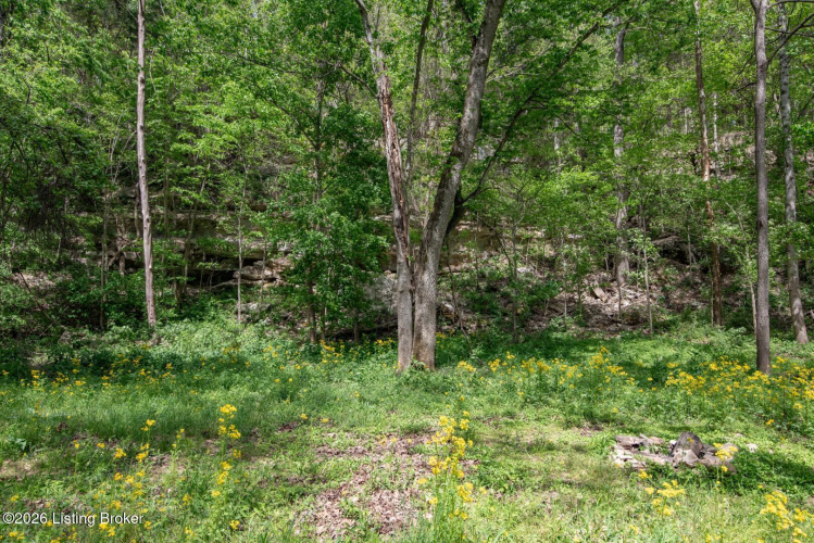 Listing Image 42