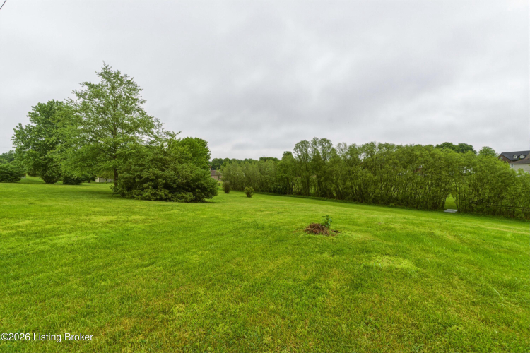 Listing Image 51