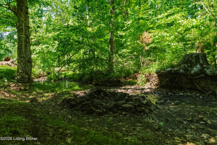 Listing Image 45