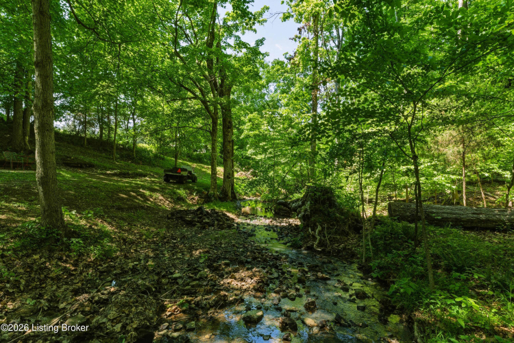 Listing Image 47