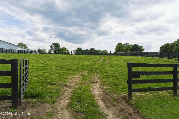Listing Image 102