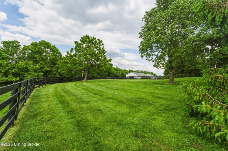 Listing Image 95