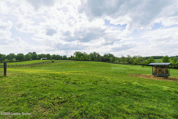 Listing Image 96