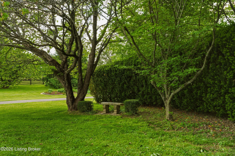 Listing Image 97