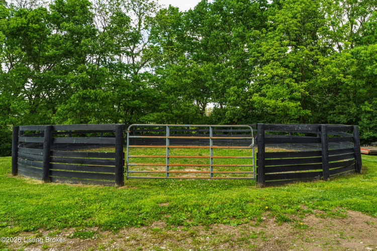 Listing Image 100
