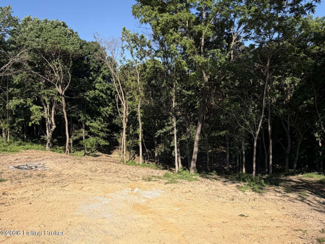 Listing Image 29