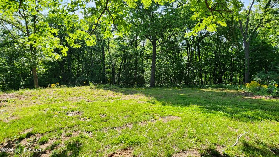 Listing Image 49