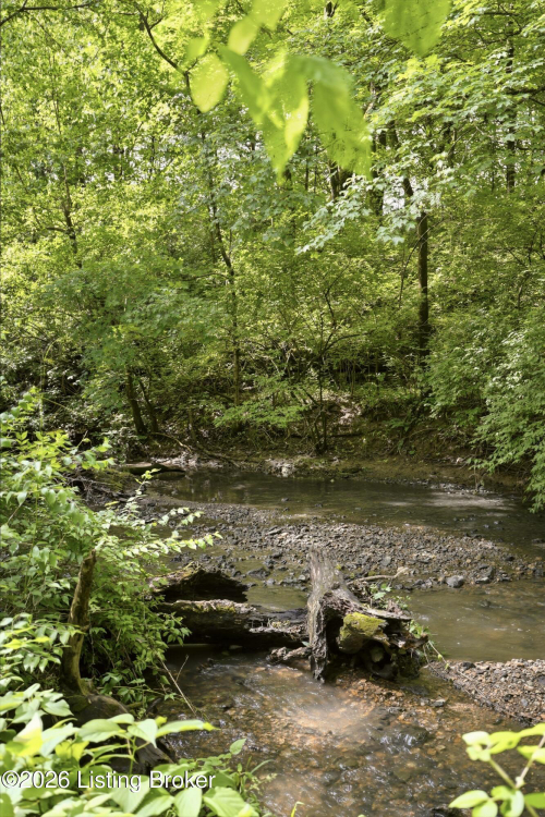 Listing Image 53