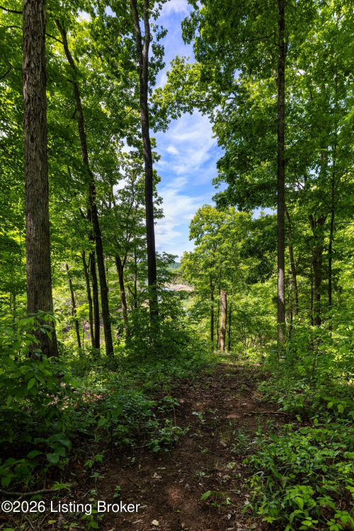 Listing Image 59