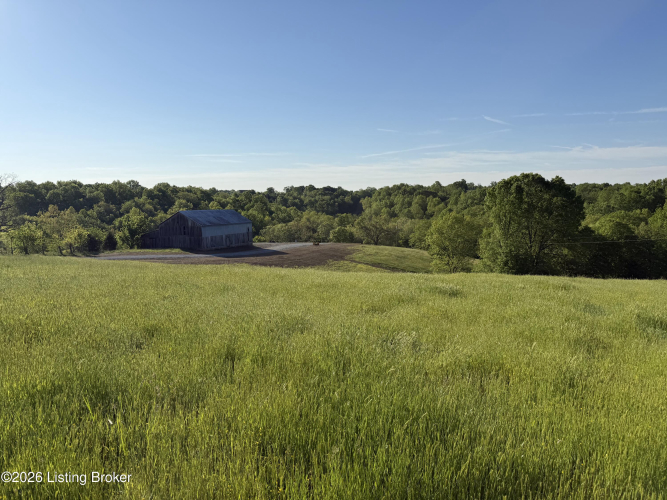 Listing Image 16