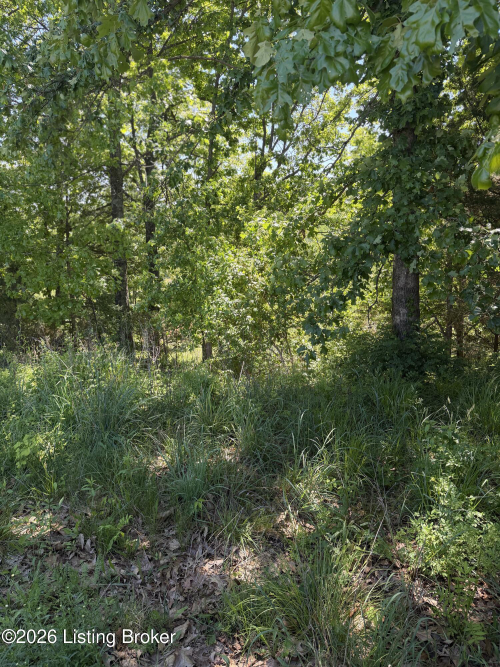Listing Image 14