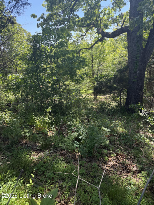 Listing Image 18