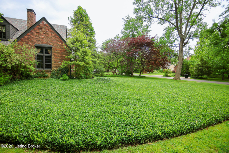 Listing Image 50