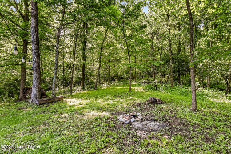 Listing Image 77