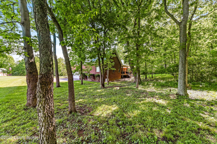 Listing Image 78