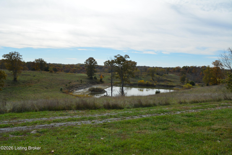 Listing Image 27