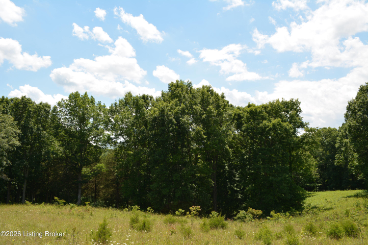 Listing Image 34