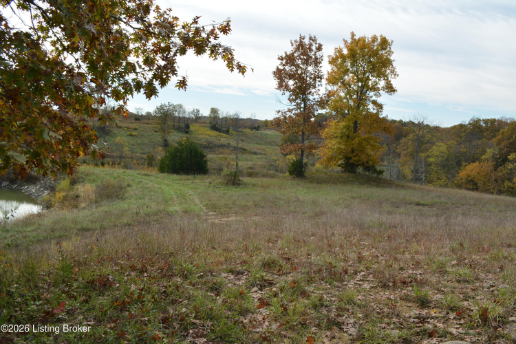 Listing Image 38