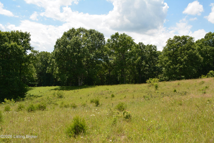 Listing Image 41