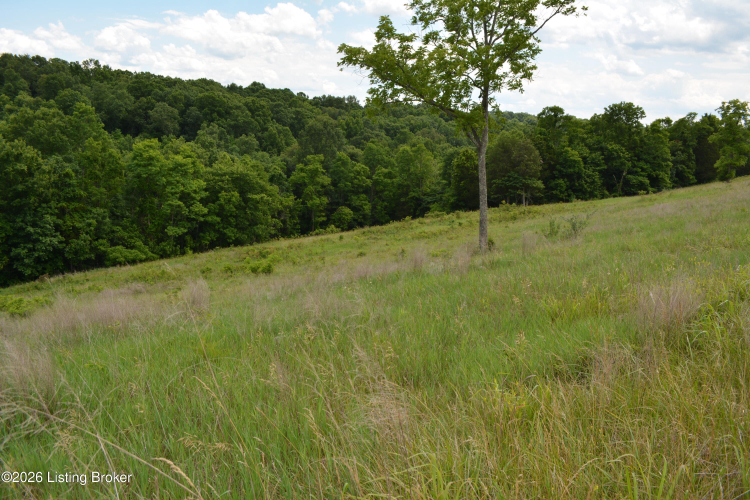 Listing Image 43