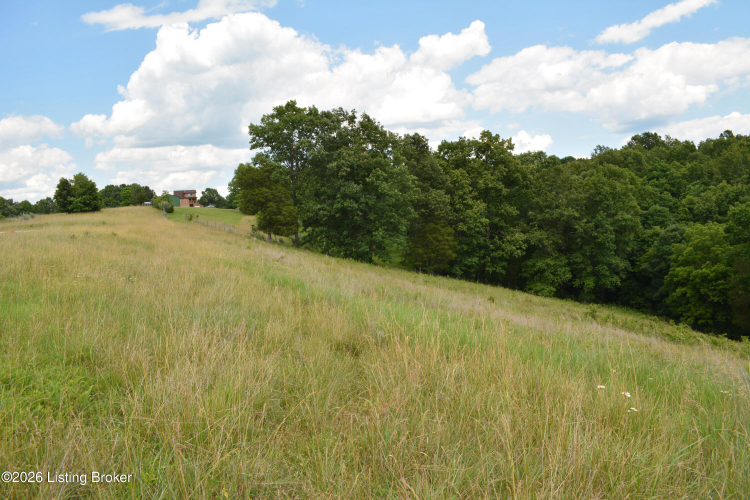 Listing Image 48