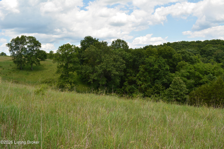 Listing Image 49