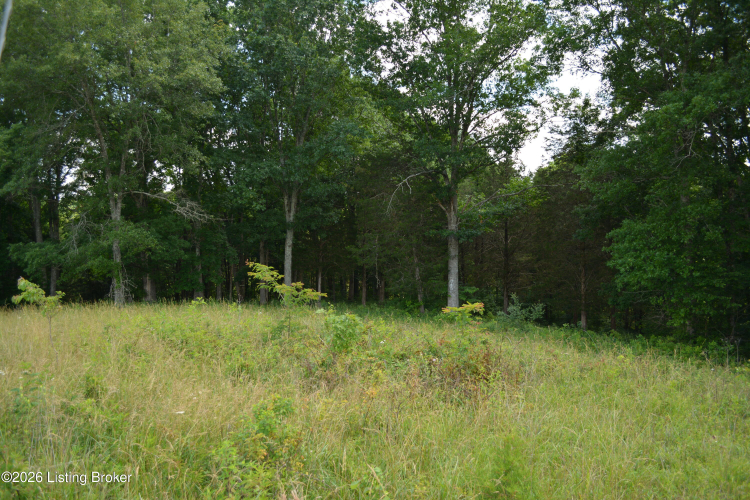 Listing Image 51