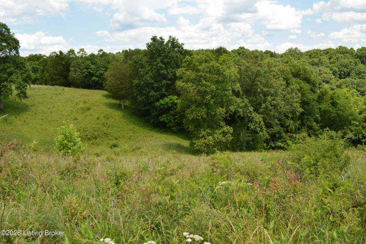 Listing Image 59