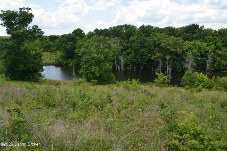 Listing Image 62