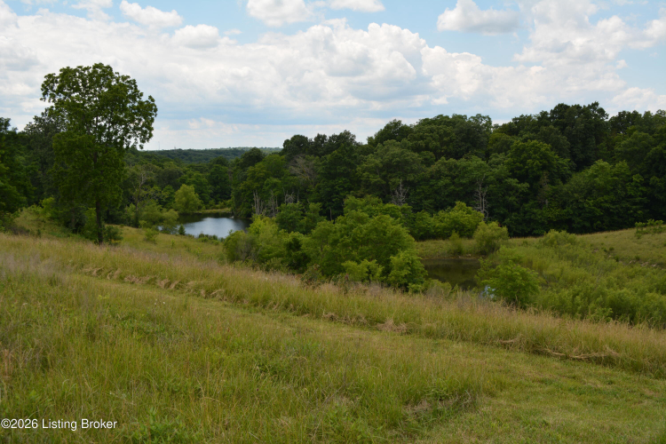 Listing Image 64