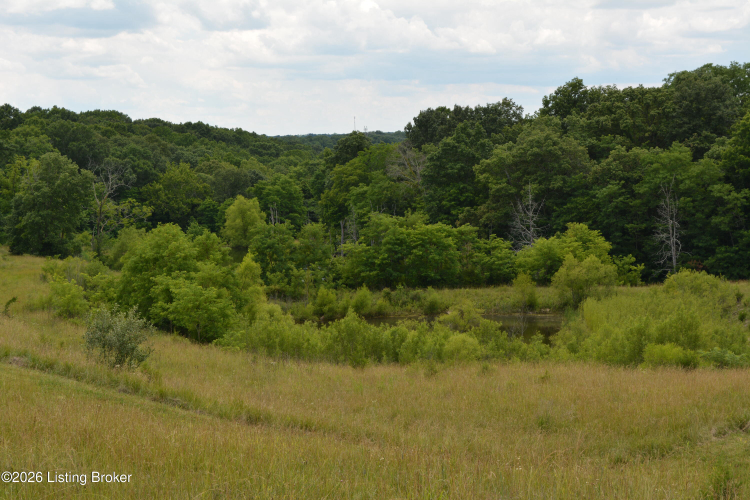 Listing Image 65