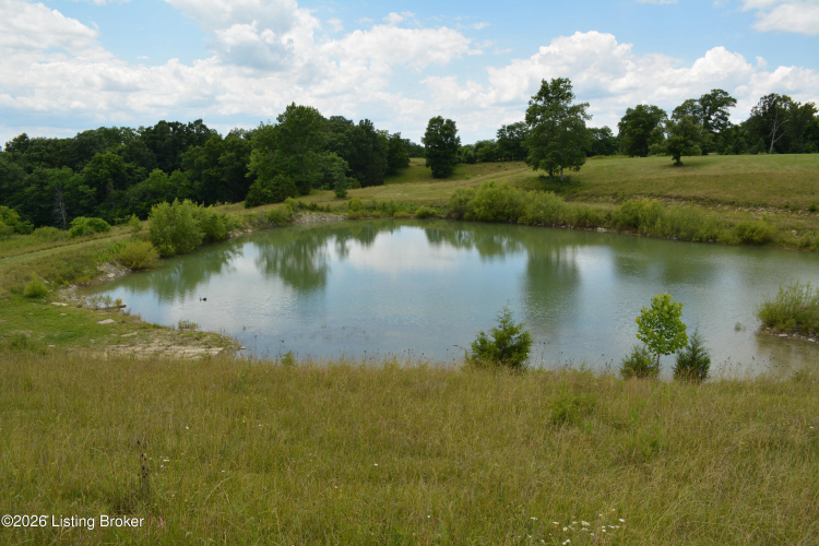 Listing Image 66