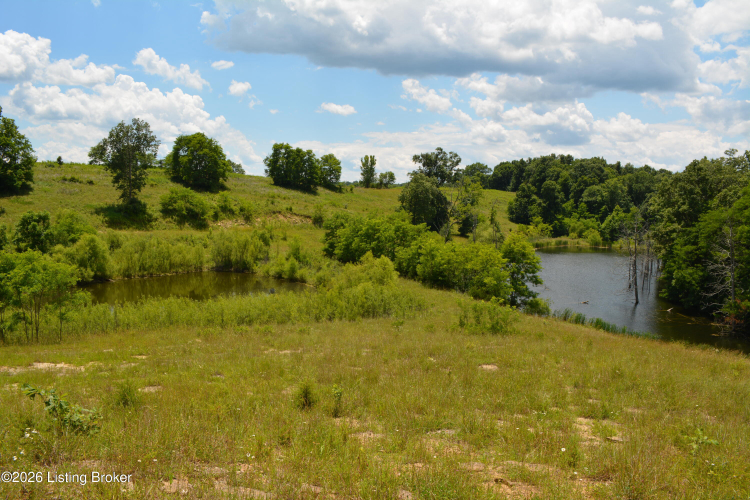 Listing Image 71