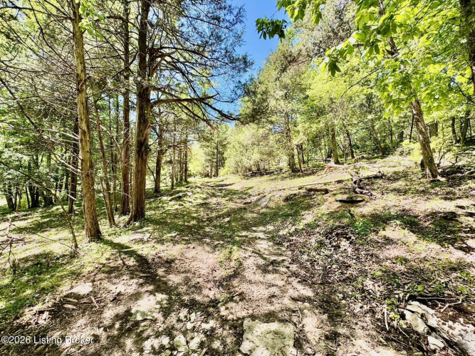 Listing Image 18