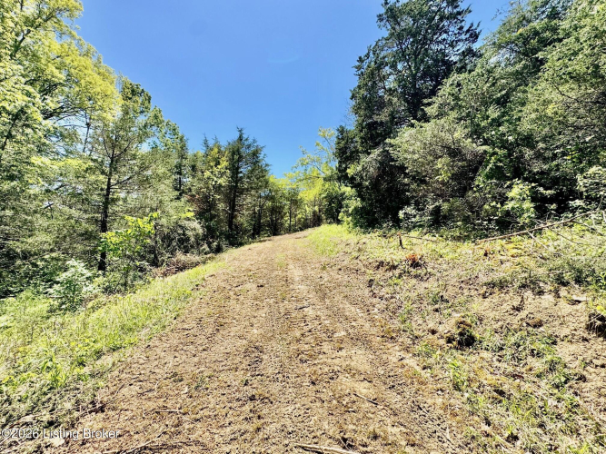 Listing Image 22