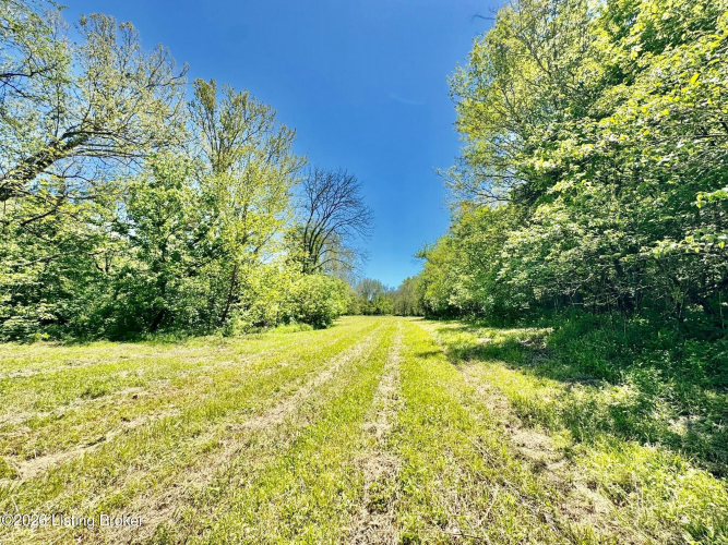 Listing Image 24