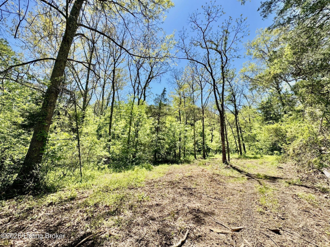 Listing Image 28