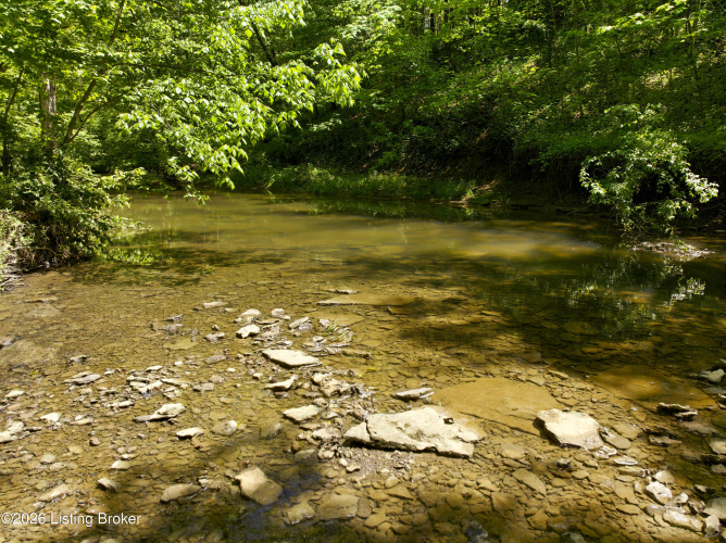 Listing Image 57