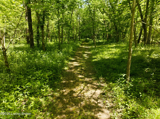 Listing Image 59