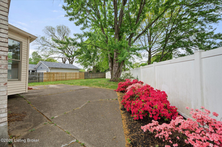 Listing Image 23