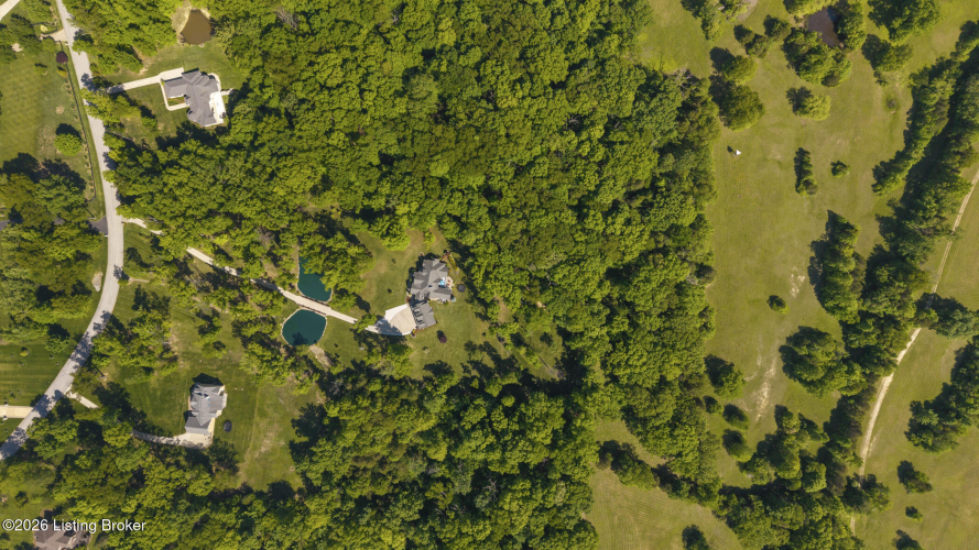 Listing Image 110
