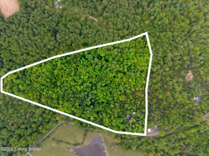 Listing Image 9