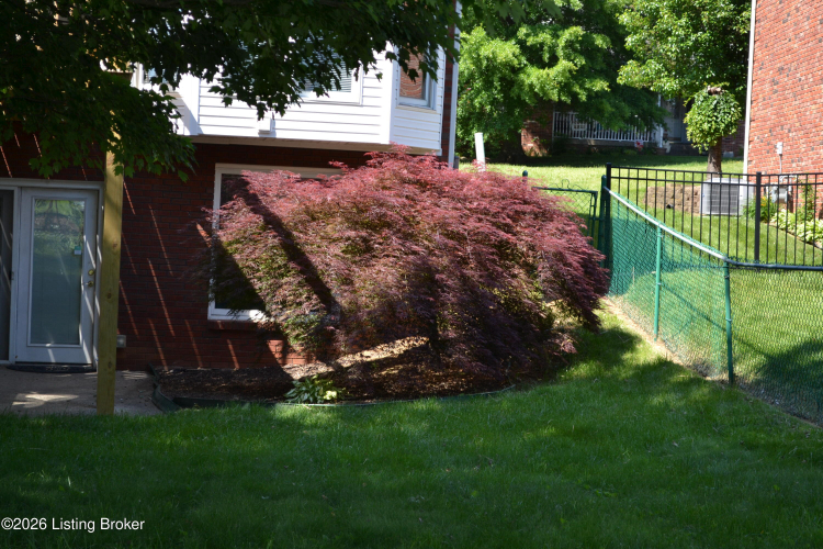 Listing Image 16