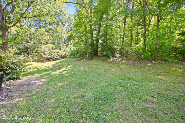 Listing Image 46