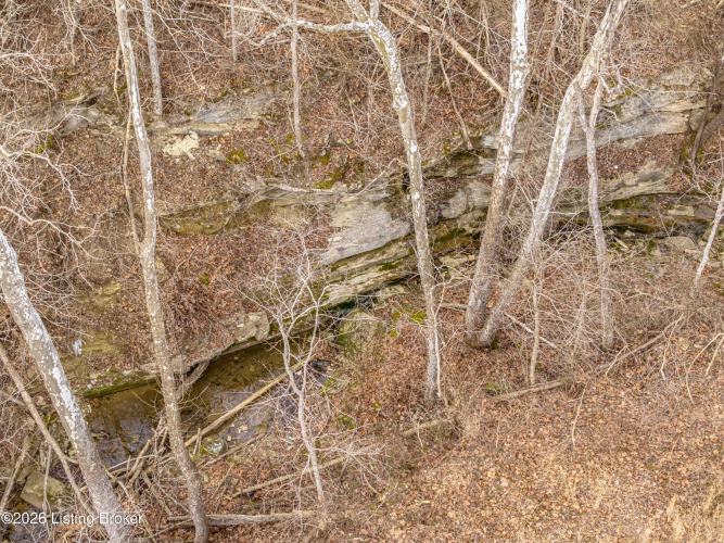 Listing Image 82