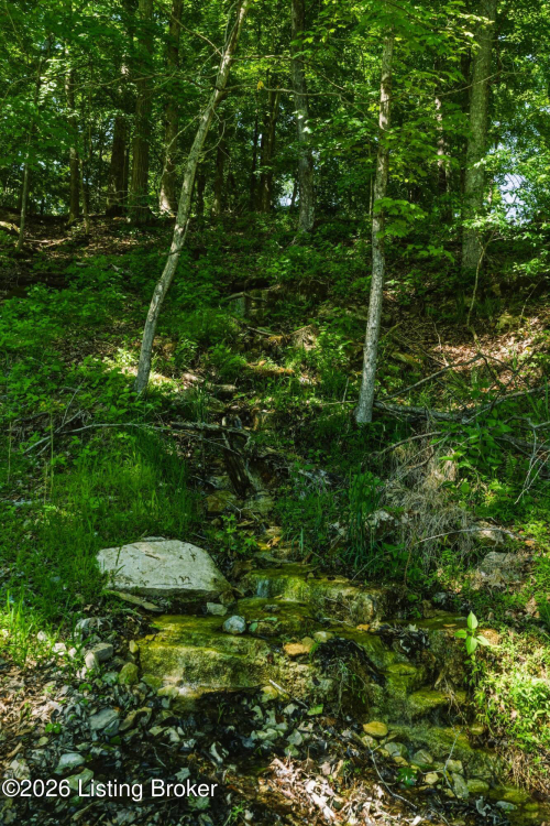 Listing Image 74